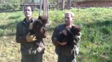 Medvíďata poprvé zavítala do výběhu