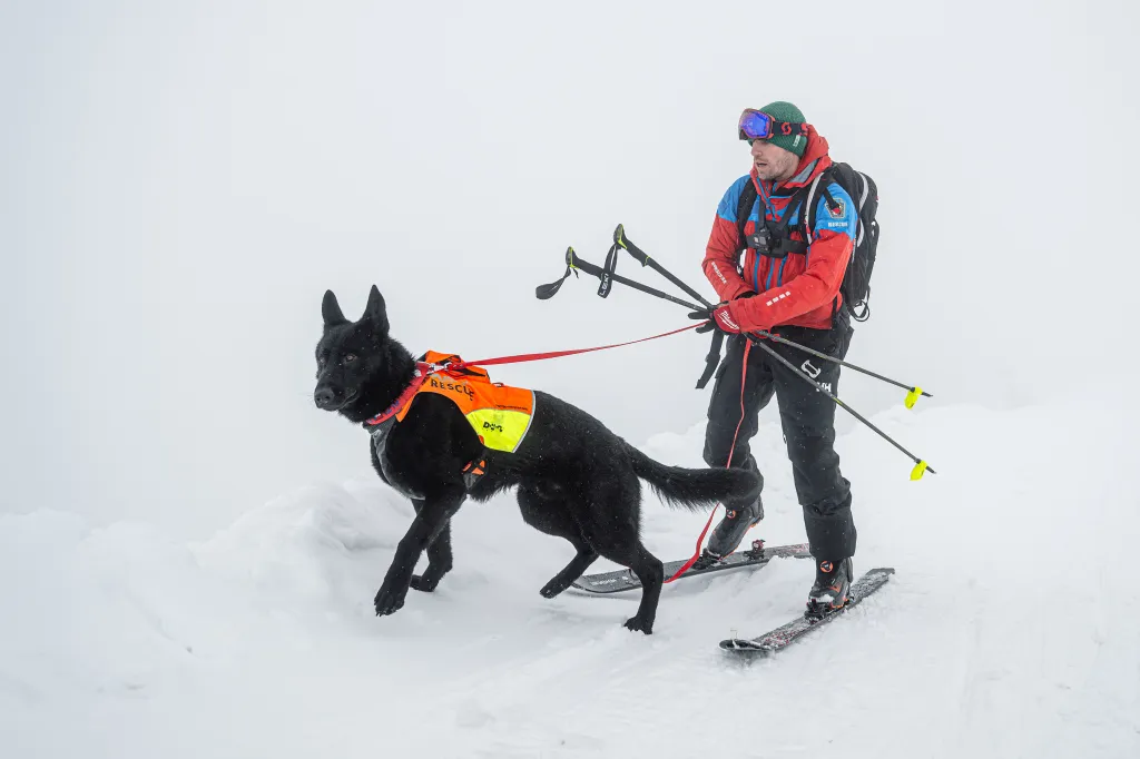 Záchranáři se psy nacvičují v Krkonoších záchranu z lavin