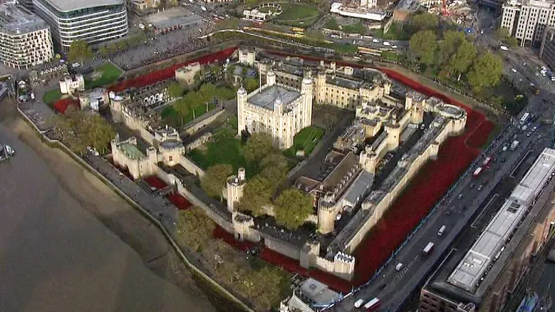 Vlčí máky u londýnského Toweru