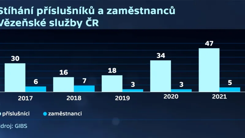 Stíhání příslušníků a zaměstnanců Vězeňské služby