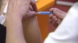 Výročí české vakcinace proti prasečí chřipce