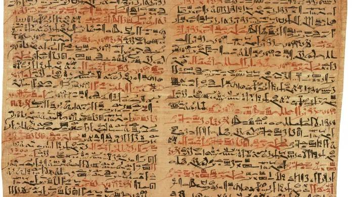 Papyrus Edwina Smithe
