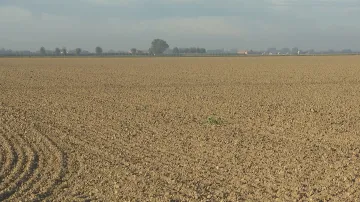 Suchá půda