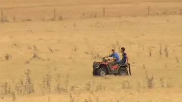 Australské farmy