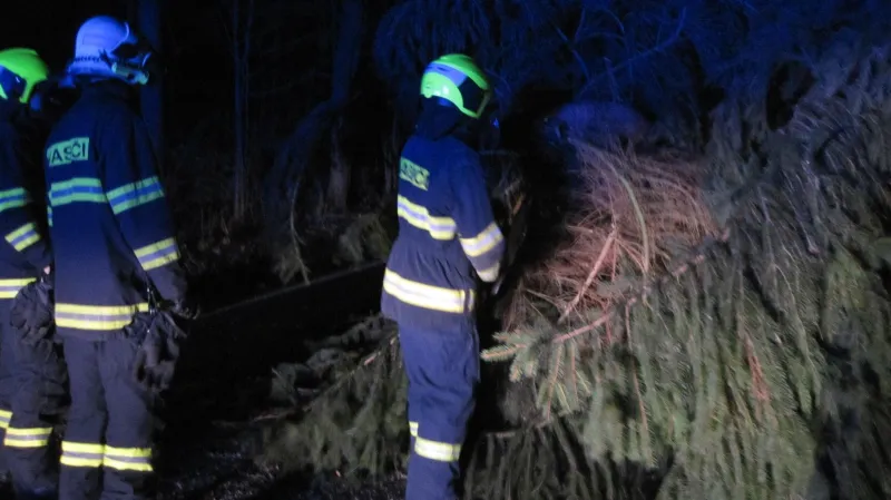 Hasiči u padlého stromu