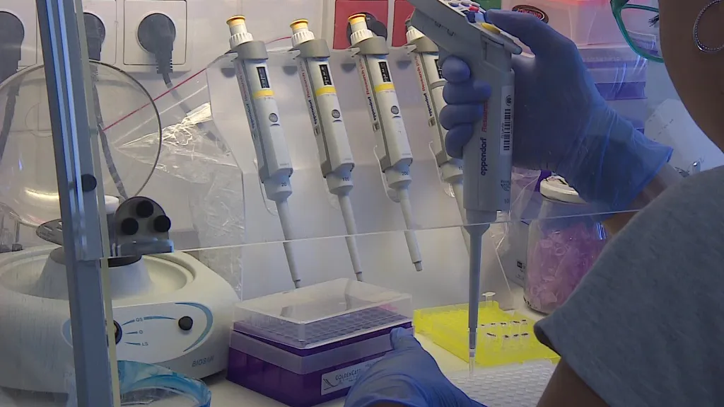 Program pracuje se vzorky odebraných tkání