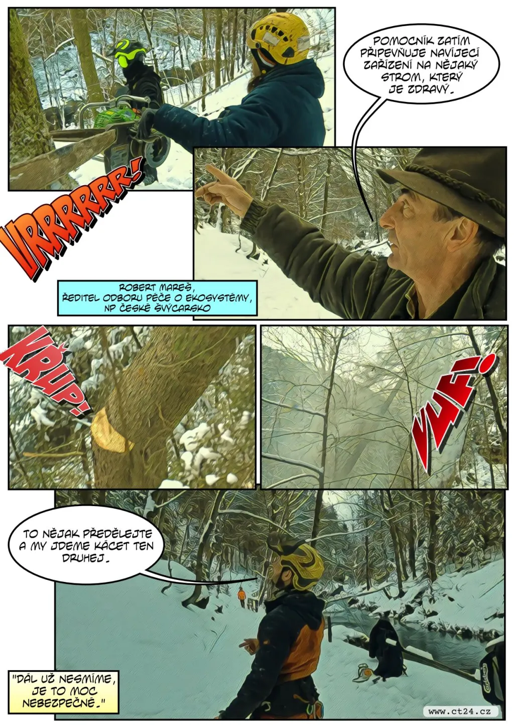 Lesníci se vydali pokácet mrtvé stromy