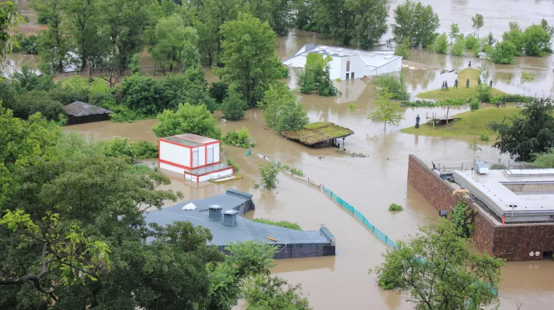 Zatopená pražská zoo, v pozadí povodňová věž pro gorily