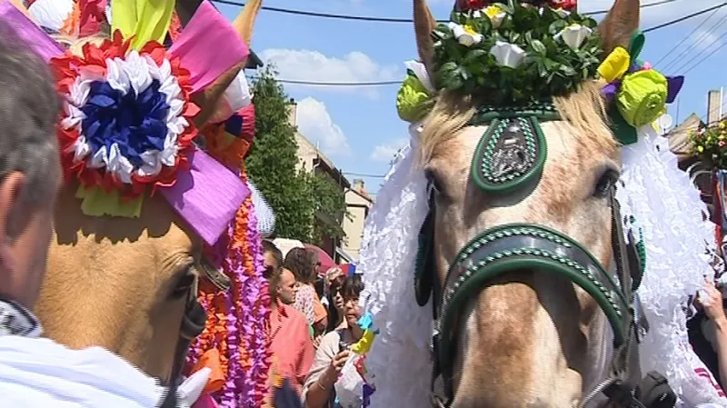 Jízda králů ve Vlčnově 2012