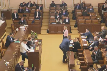 Sněmovna ve druhém čtení debatovala o uzákonění manželství i pro stejnopohlavní páry