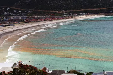 Rudý příliv zabíjí v Jižní Africe korýše