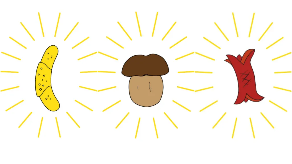 Z výstavy CzechImage