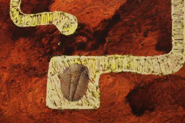 Nominace Magnesia Litera: Město jeden kámen