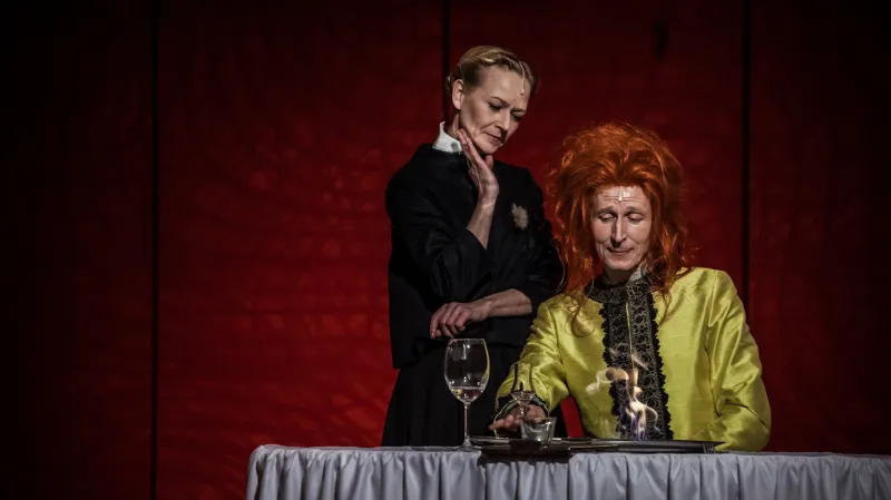 Vévodkyně a kuchařka / Eva Novotná, Vladimír Javorský