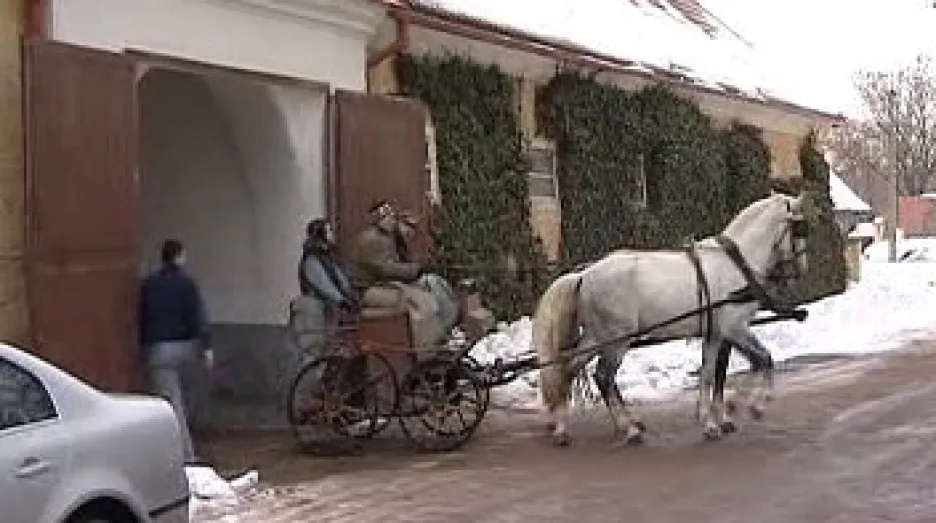 Národní hřebčín Kladruby