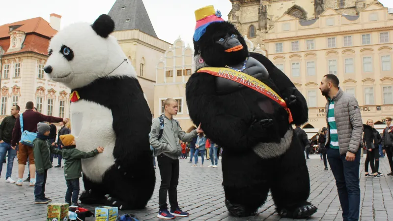 Lidé v obřích kostýmech zvířat vystupovali na pražském Staroměstském náměstí ještě v říjnu