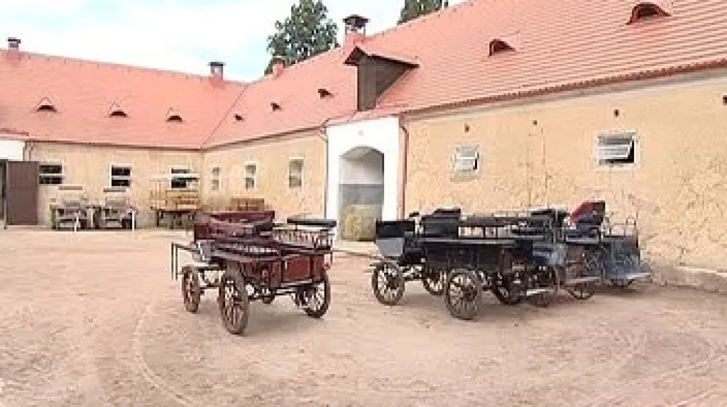 Národní hřebčín Kladruby