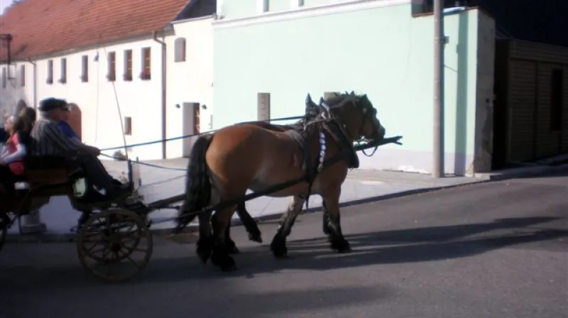 Z oslavy Vesnice roku 2012 v Řepici