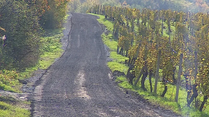 Provizorní cesta mezi Dolními Věstonicemi a Pavlovem