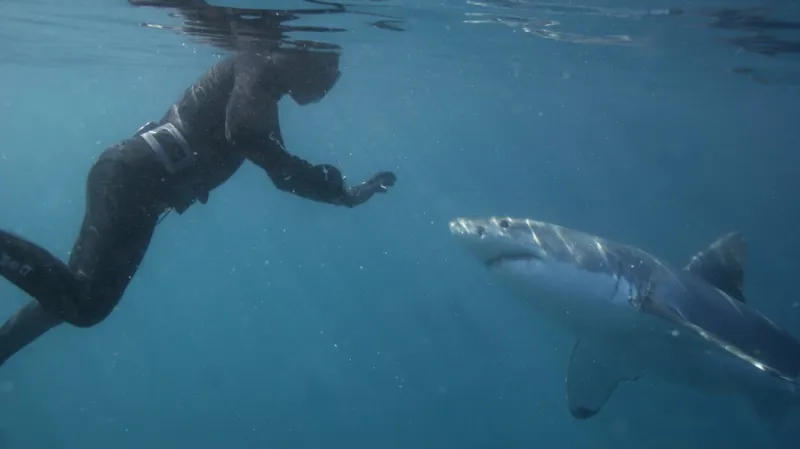Mike Rutzen alias Sharkman