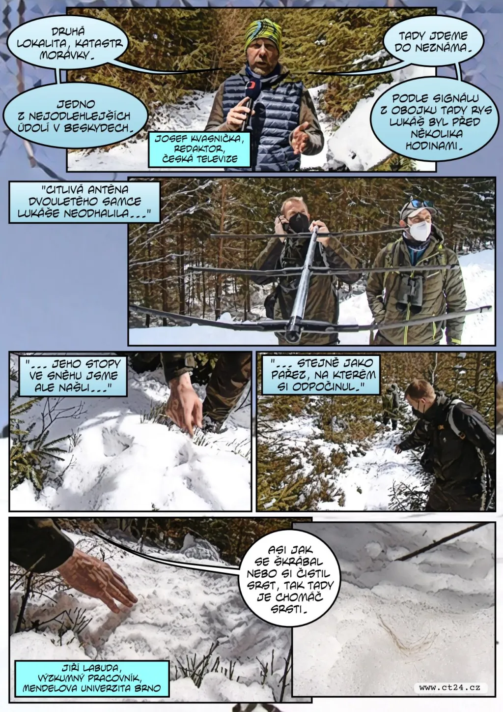 Rys ostrovid v Beskydech