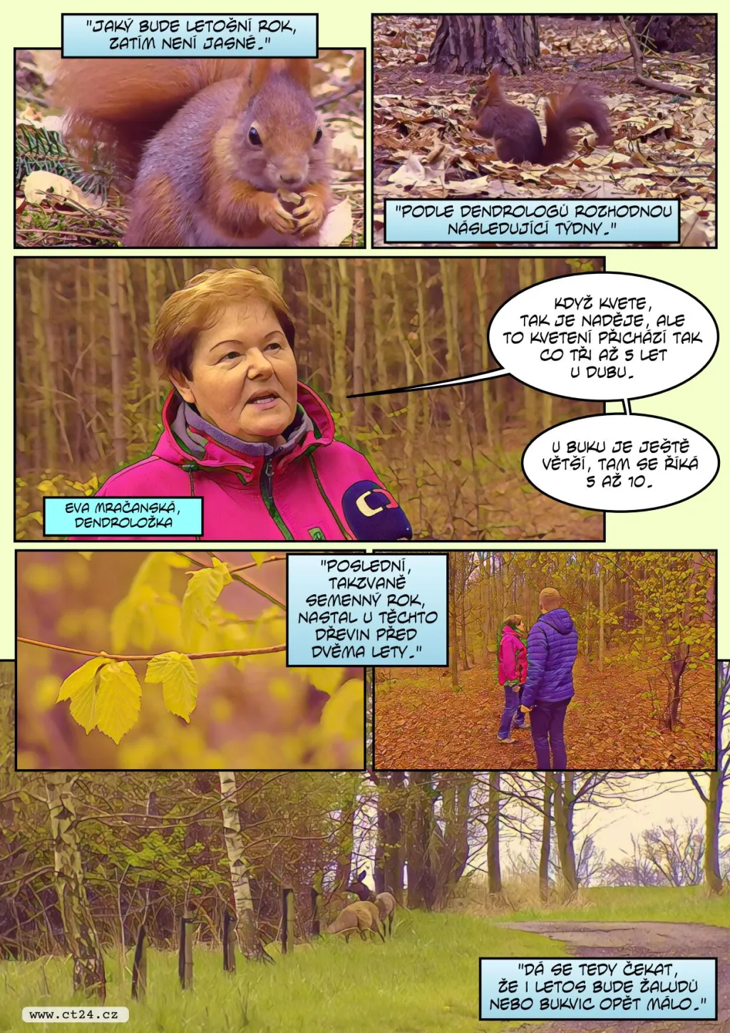 Zvěř v české přírodě