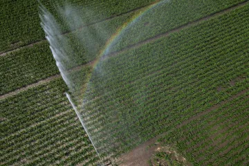 Evropská komise navrhla dotace pro zemědělce čelící tlaku levného obilí z Ukrajiny 