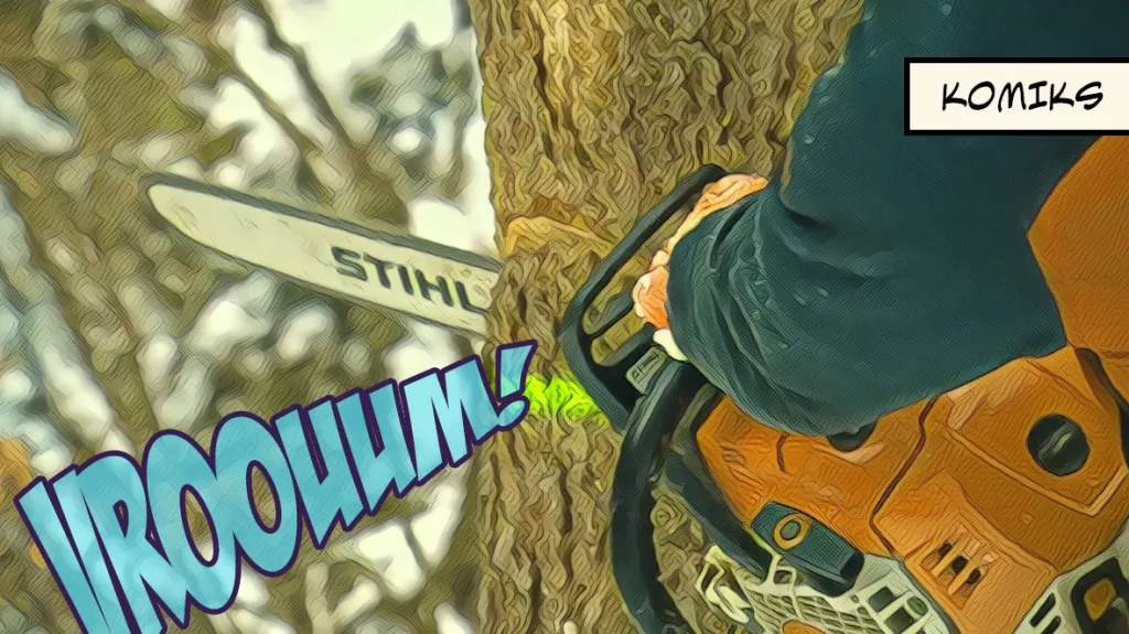 Lesníci se vydali pokácet mrtvé stromy