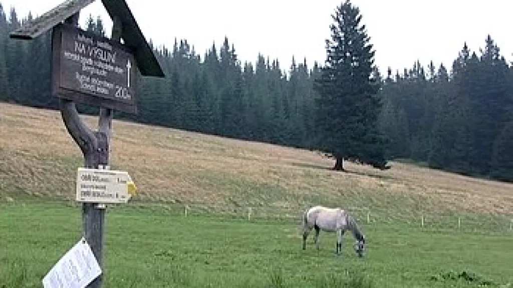 Louka v Krkonoších