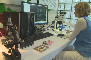 Pozor při nákupu potravin přes internet. Varuje potravinářská inspekce