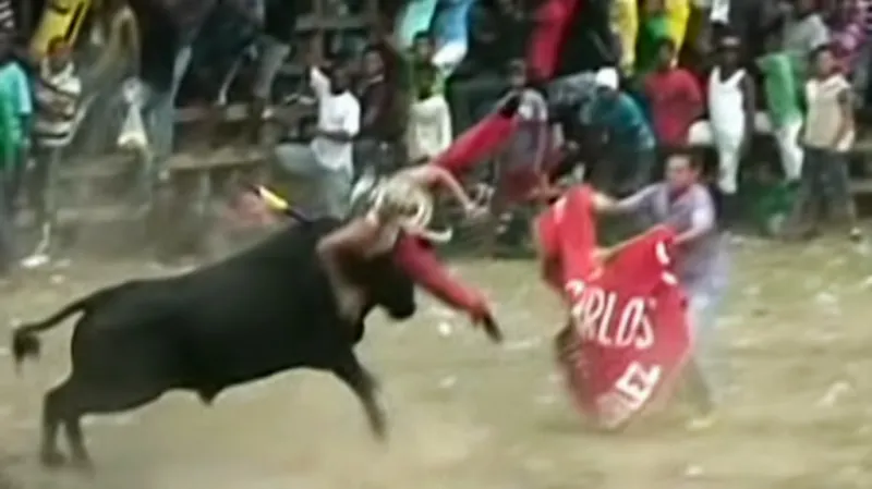 Tragédie na koridě