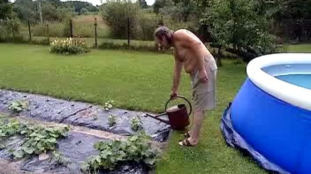 Zalévání zahrádky