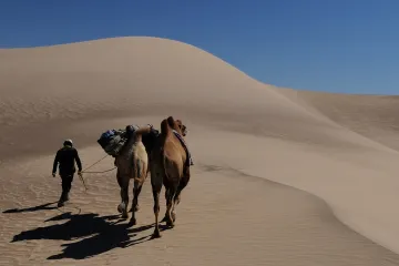 Mongolsko se může do konce století oteplit až o šest stupňů, tvrdí prognóza na základě analýzy letokruhů