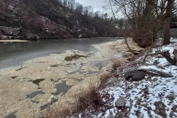 Kejda z protržené jímky se dostala až do národního parku Podyjí