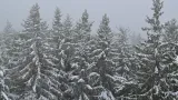 Ve vyšších polohách Jihočeského kraje ležel sněhový poprašek