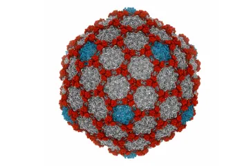 Virus nalezený ve vařící vodě termálních pramenů může změnit medicínu