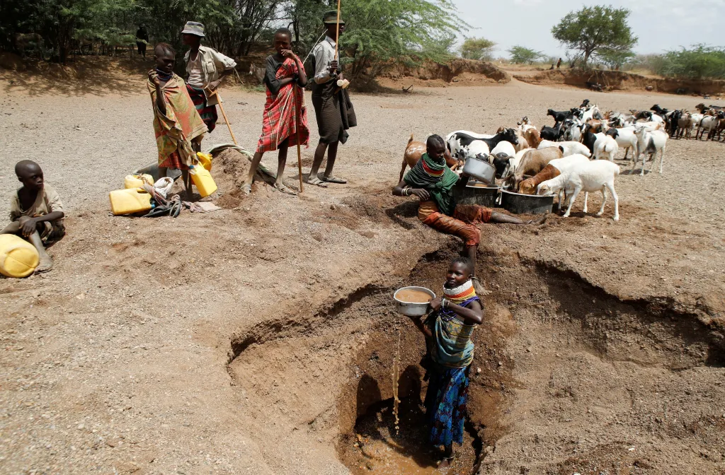 Sucho v Keni zabíjí ohrožená zvířata