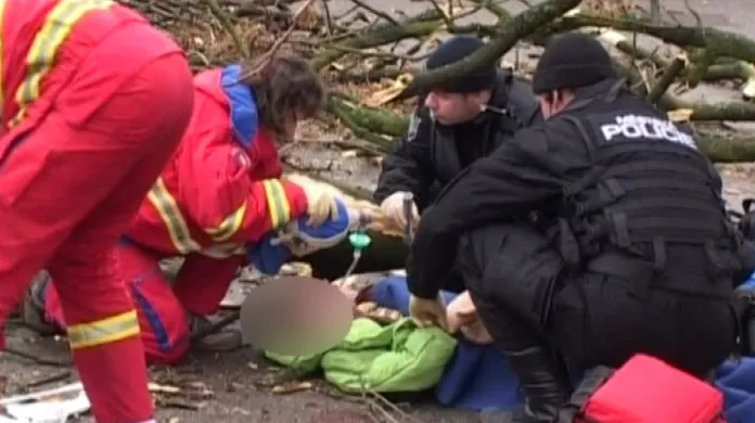 Záchranáři zasahují při pádu stromu 22. ledna 2009 ve Zlíně