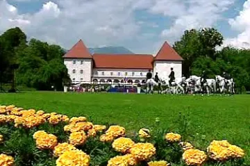 Slovinsko končí v čele EU