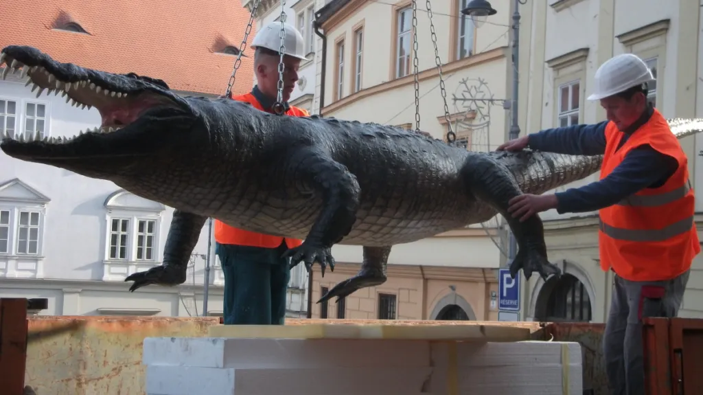 Drak byl mimo radnici více než půl roku