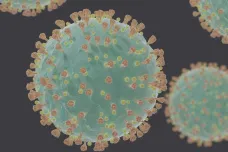 Ztráta čichu a chuti může být známkou nákazy koronavirem, naznačují výzkumy
