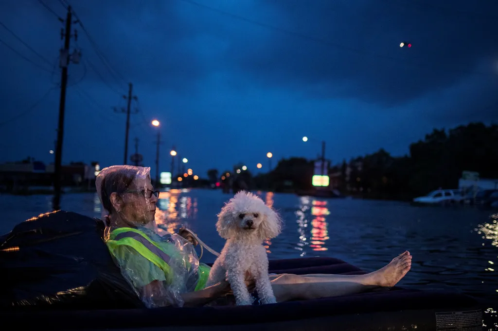 Seniorka se svým domácím mazlíčkem na nafukovací matraci v ulicích Houstonu po úspěšné evakuaci ze zaplavených domů po řádění tropické bouře Harvey.