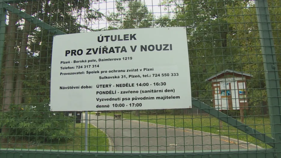 Plzeňský útulek na Borských polích