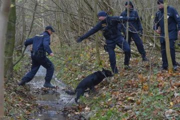 Policie našla pohřešovaného traktoristu. Při nehodě utrpěl šok a v lesích se ztratil