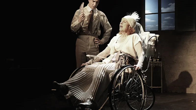 Božská Sarah / Igor Orozovič, Iva Janžurová