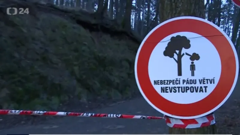 Nepojmenovaný obrázek z online přenosu - zpráva z 2020-02-10 10:39:47 - obrázek 1