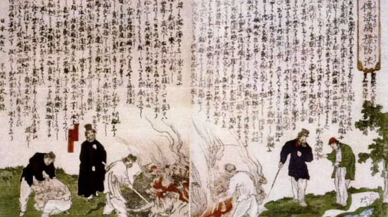 Mor skotu v Japonsku