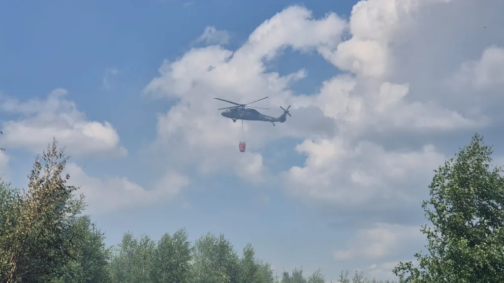 Hašení bambivakem u Nové Hradečné na Olomoucku