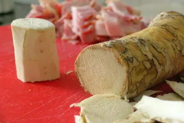 Vědci přečetli DNA křenu. Zásadní roli měl český genetik Lysák