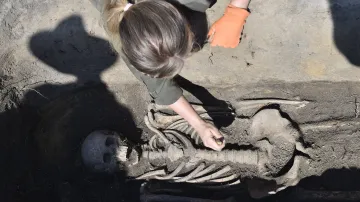 Antropologové objevili další velkomoravské hroby na Pohansku
